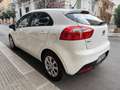 Kia Rio Rio 1.1 CRDi 75CV DIESEL PERFETTA Blanc - thumbnail 10