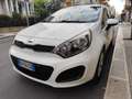 Kia Rio Rio 1.1 CRDi 75CV DIESEL PERFETTA Blanc - thumbnail 2
