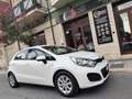 Kia Rio Rio 1.1 CRDi 75CV DIESEL PERFETTA Blanc - thumbnail 26