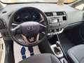 Kia Rio Rio 1.1 CRDi 75CV DIESEL PERFETTA Blanc - thumbnail 12
