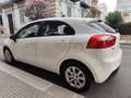 Kia Rio Rio 1.1 CRDi 75CV DIESEL PERFETTA Blanc - thumbnail 25