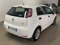 Fiat Punto Punto III 2012 3p 1.3 mjt II 16v Lounge 75cv E5+ Bianco - thumbnail 7