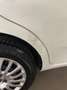 Fiat Punto Punto III 2012 3p 1.3 mjt II 16v Lounge 75cv E5+ Bianco - thumbnail 8