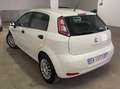 Fiat Punto Punto III 2012 3p 1.3 mjt II 16v Lounge 75cv E5+ Bianco - thumbnail 5