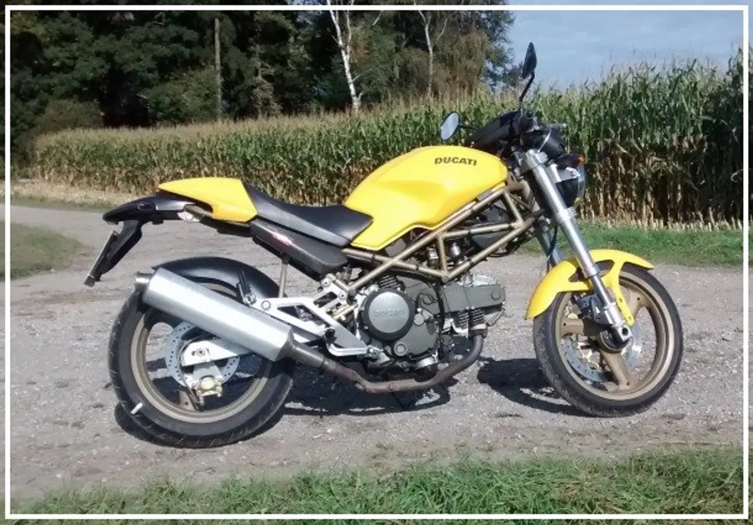 Ducati Monster 600 M600 Amarillo - 2