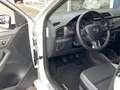 Skoda Fabia Combi 1.2 TSI JOY / NL-Auto / Cruise-Control / Sto Wit - thumbnail 10
