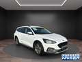 Ford Focus Turnier Active 1.0 EcoBoost EU6d  ACC/AHK Weiß - thumbnail 7