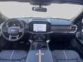 Ford F 150 PLATINUM V6 |NIGHT EDITION| incl. Tonneau cover in Grau - thumbnail 13