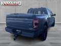 Ford F 150 PLATINUM V6 |NIGHT EDITION| incl. Tonneau cover in Grau - thumbnail 4