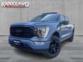 Ford F 150 PLATINUM V6 |NIGHT EDITION| incl. Tonneau cover in Grau - thumbnail 1