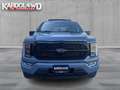 Ford F 150 PLATINUM V6 |NIGHT EDITION| incl. Tonneau cover in Grau - thumbnail 2
