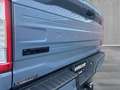 Ford F 150 PLATINUM V6 |NIGHT EDITION| incl. Tonneau cover in Grau - thumbnail 8