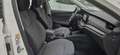 Skoda Octavia 2.0TDI Ambition 110kW Blanco - thumbnail 10