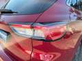Ford Kuga 2.5 PHEV Plug-In-Hybrid VIGNALE |20Zoll|ACC Rot - thumbnail 11