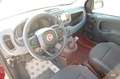 Fiat Panda Pandina 1.0 firefly hybrid Icon km0 Rouge - thumbnail 12