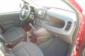 Fiat Panda Pandina 1.0 firefly hybrid Icon km0 Rouge - thumbnail 8