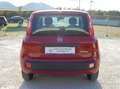 Fiat Panda Pandina 1.0 firefly hybrid Icon km0 Rouge - thumbnail 5