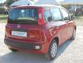 Fiat Panda Pandina 1.0 firefly hybrid Icon km0 Rouge - thumbnail 6
