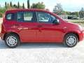Fiat Panda Pandina 1.0 firefly hybrid Icon km0 Rouge - thumbnail 7