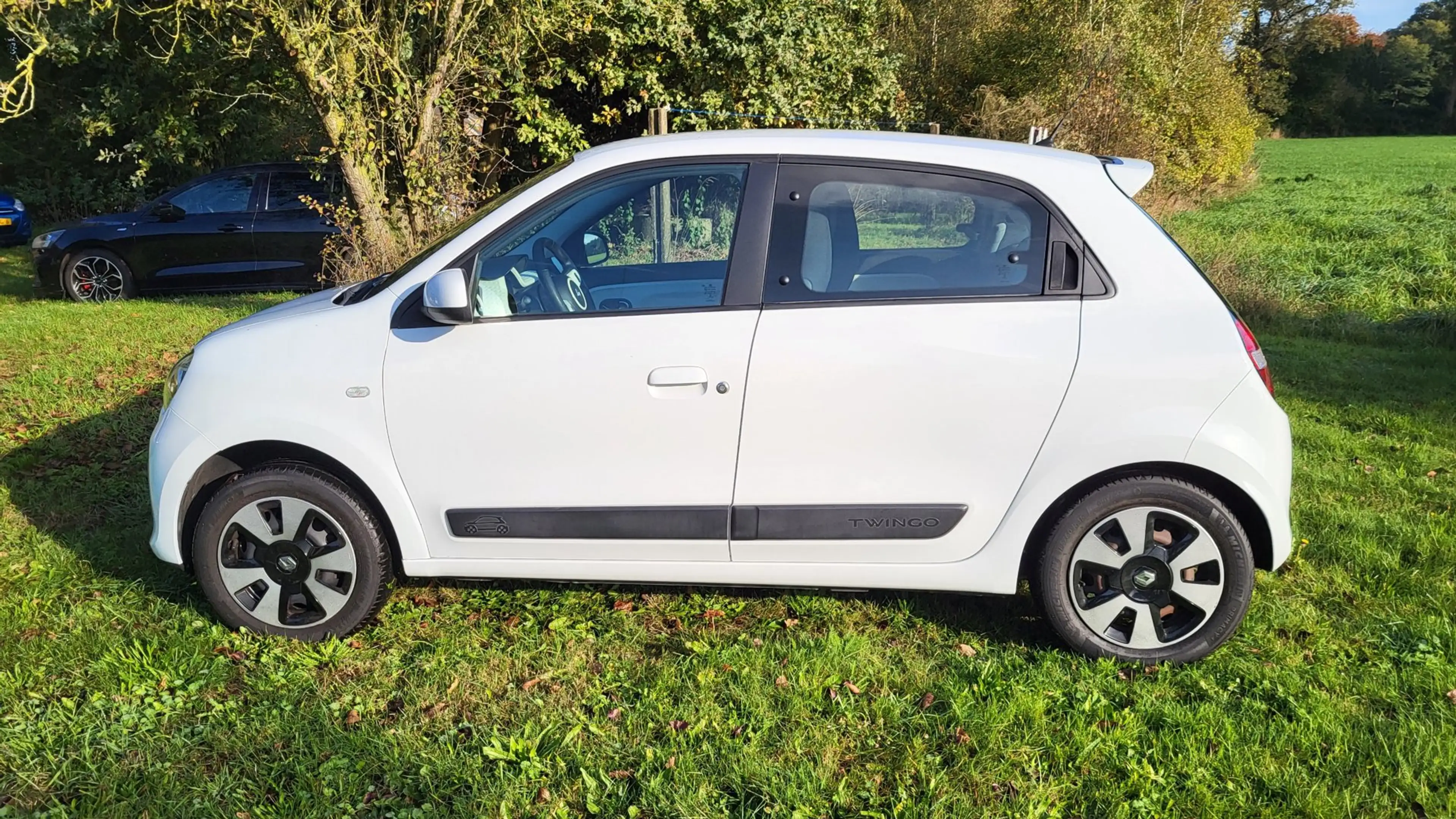 Renault Twingo 1.0 SCe Collection (rijklaar) — photo 8