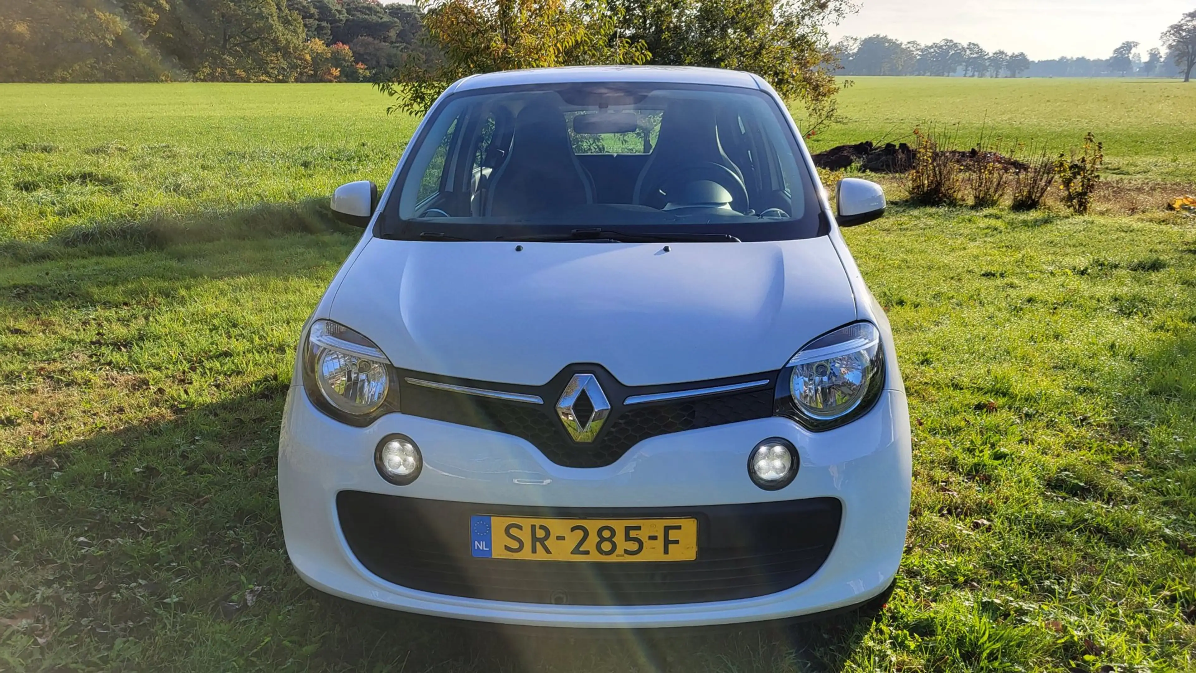 Renault Twingo 1.0 SCe Collection (rijklaar) — photo 2