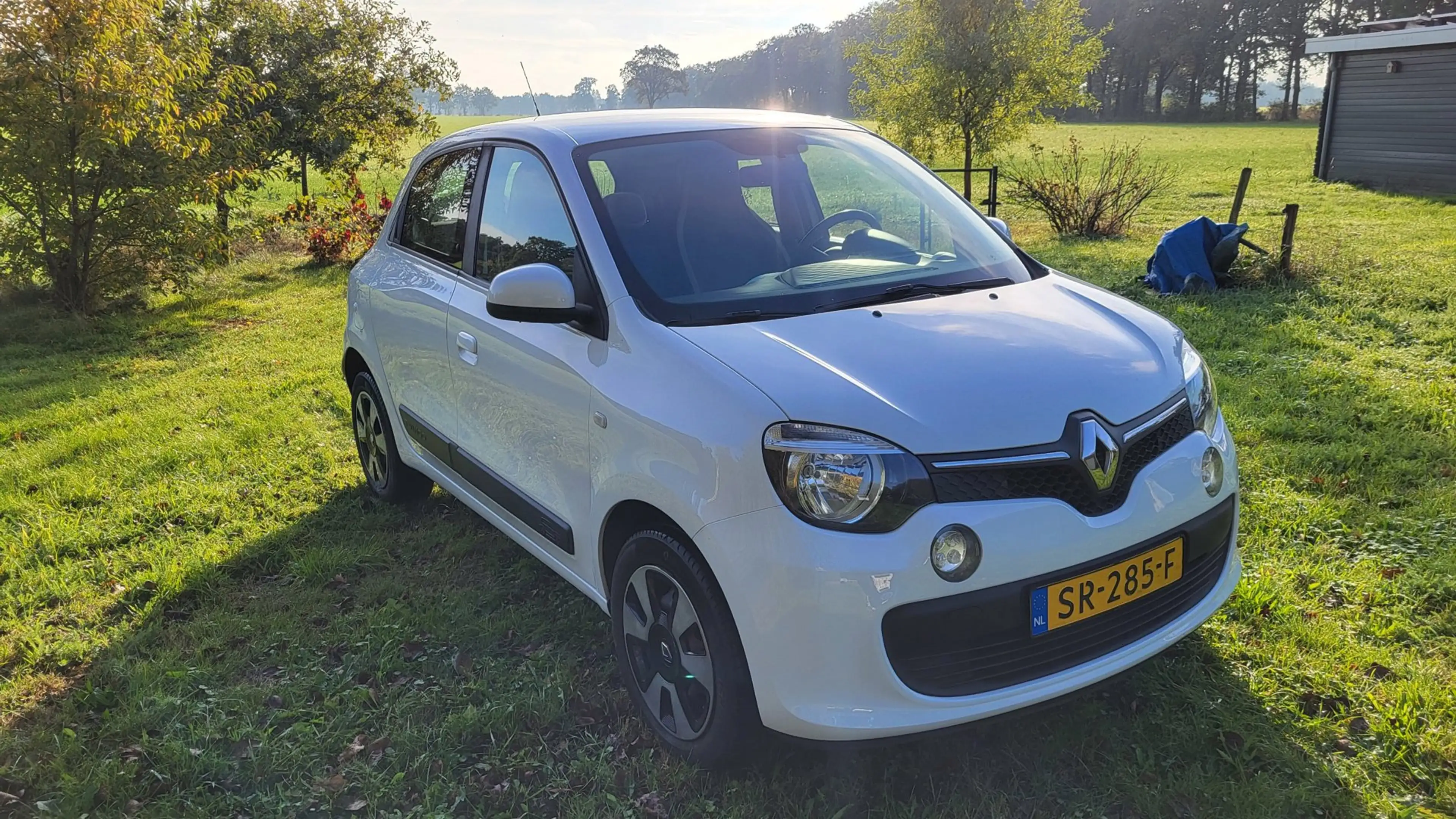 Renault Twingo 1.0 SCe Collection (rijklaar) — photo 3