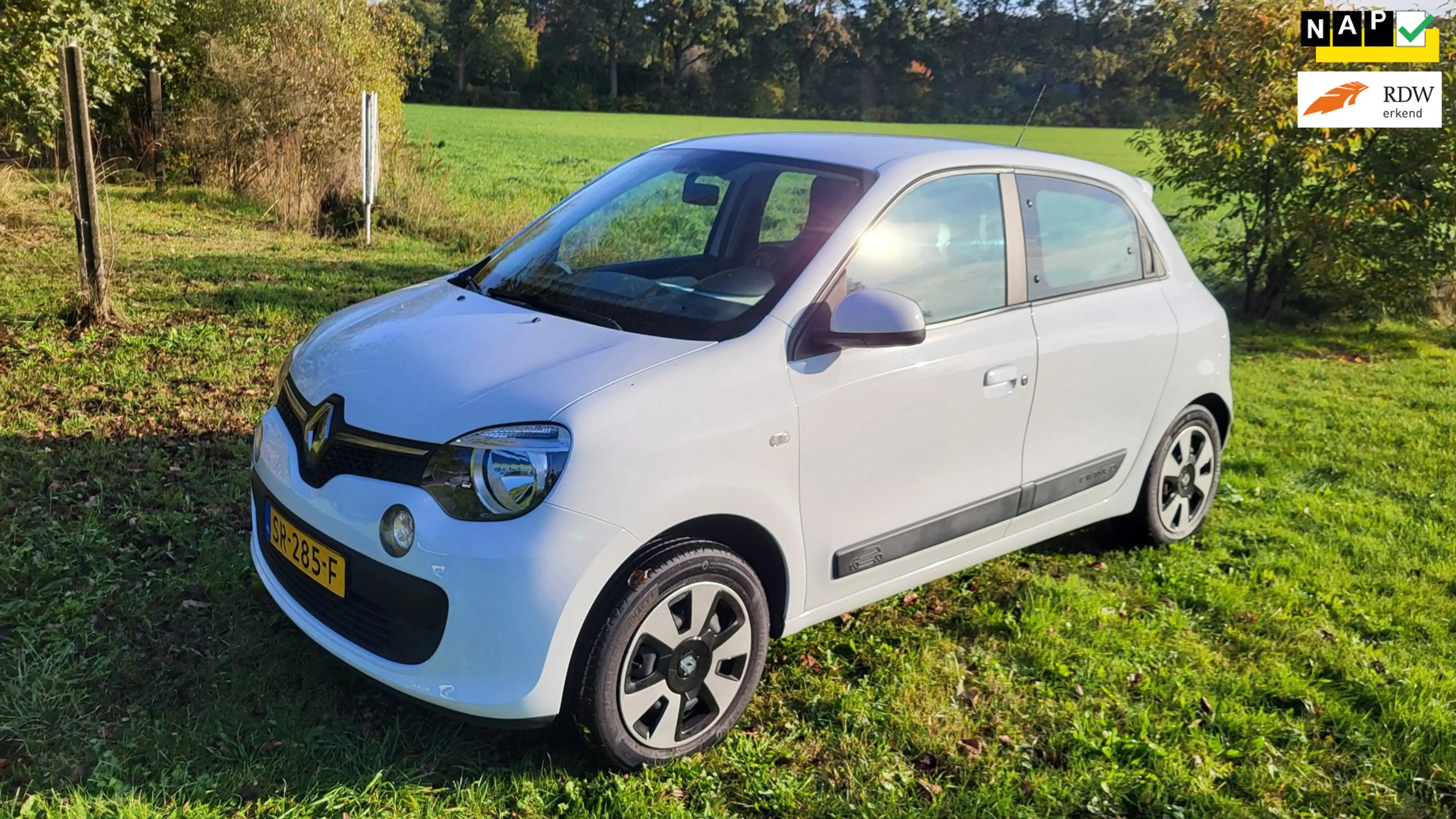 Renault Twingo 1.0 SCe Collection (rijklaar)