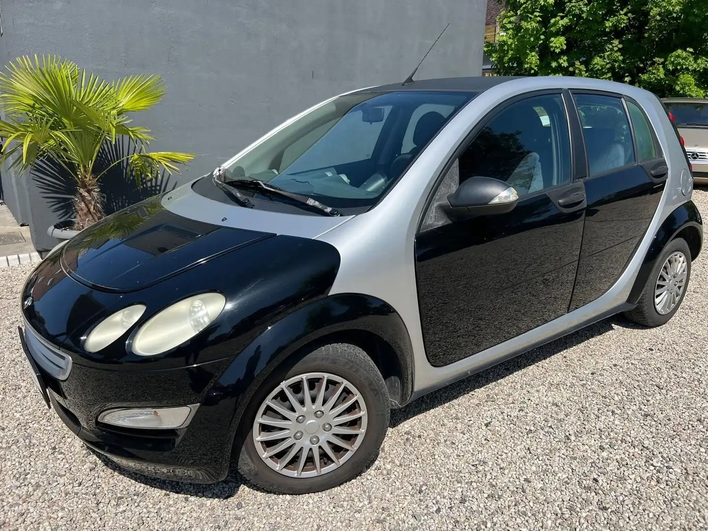 smart forFour Basis 1.3 * Kundenauftrag * AHK * Zilver - 1