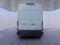 Ford Transit 350 fwd 2.0 ecoblue 130cv trend L3H3 Bianco - thumbnail 5