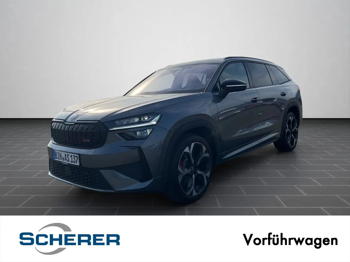 Skoda Kodiaq RS 2.0 TSI DSG AHK Pano Standheizung Grau - 1