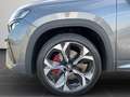 Skoda Kodiaq RS 2.0 TSI DSG AHK Pano Standheizung Grau - thumbnail 8