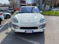 Porsche Cayenne 3.0 V6 tdi tiptronic Bianco - thumbnail 4