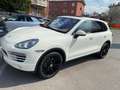 Porsche Cayenne 3.0 V6 tdi tiptronic Bianco - thumbnail 2