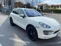 Porsche Cayenne 3.0 V6 tdi tiptronic Bianco - thumbnail 1