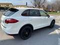 Porsche Cayenne 3.0 V6 tdi tiptronic Bianco - thumbnail 6