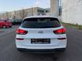 Hyundai i30 cw Intro Edition Weiß - thumbnail 4