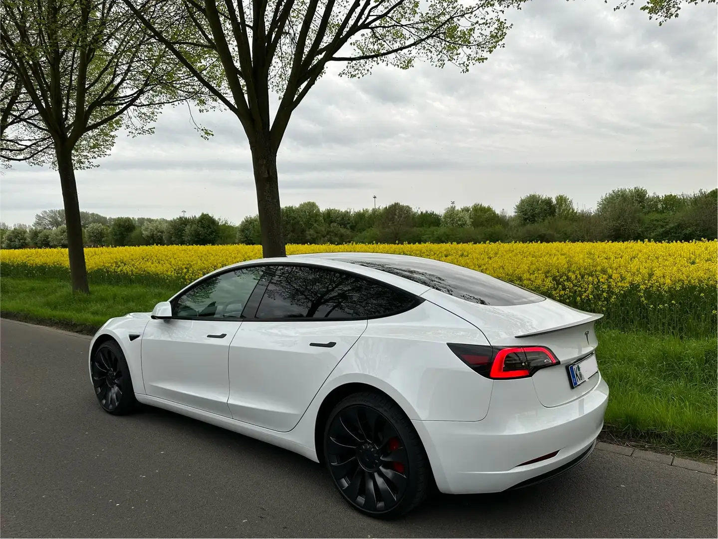 Tesla Model 3 Performance Dual Motor Allradantrieb Fehér - 2