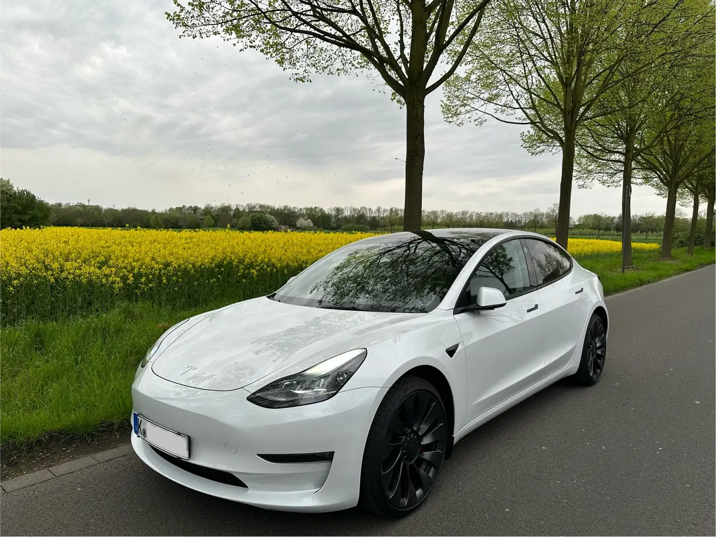 Tesla Model 3 Performance Dual Motor Allradantrieb Fehér - 1
