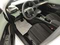 Lancia Ypsilon Hybrid e-DCT Bianco - thumbnail 8