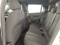 Lancia Ypsilon Hybrid e-DCT Bianco - thumbnail 11