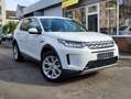 Land Rover Discovery Sport 2.0 S AWD*Leder*Pano*8-fach*19"*Navi*SH*LED* Weiß - thumbnail 6