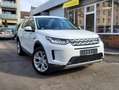 Land Rover Discovery Sport 2.0 S AWD*Leder*Pano*8-fach*19"*Navi*SH*LED* Weiß - thumbnail 5