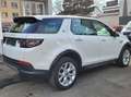 Land Rover Discovery Sport 2.0 S AWD*Leder*Pano*8-fach*19"*Navi*SH*LED* Weiß - thumbnail 8