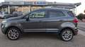 Ford EcoSport 1.0 EcoBoost TITANIUM Argento - thumbnail 2