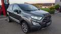Ford EcoSport 1.0 EcoBoost TITANIUM Argento - thumbnail 7