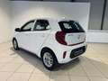 Kia Picanto 3ªs.(17-->) 1.0 12V 5p. AMT Style Bianco - thumbnail 4