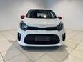 Kia Picanto 3ªs.(17-->) 1.0 12V 5p. AMT Style Bianco - thumbnail 2