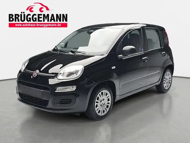 Fiat Panda PANDA PANDINA 1.0 GSE HYBRID ICON MJ26