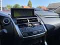 Lexus NX 300h AWD hybrid Luxury Edition | dealer onderhouden | p Grijs - thumbnail 25