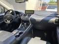Lexus NX 300h AWD hybrid Luxury Edition | dealer onderhouden | p Grijs - thumbnail 19